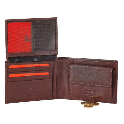 Pierre Cardin 8806 tilak 99 Brown